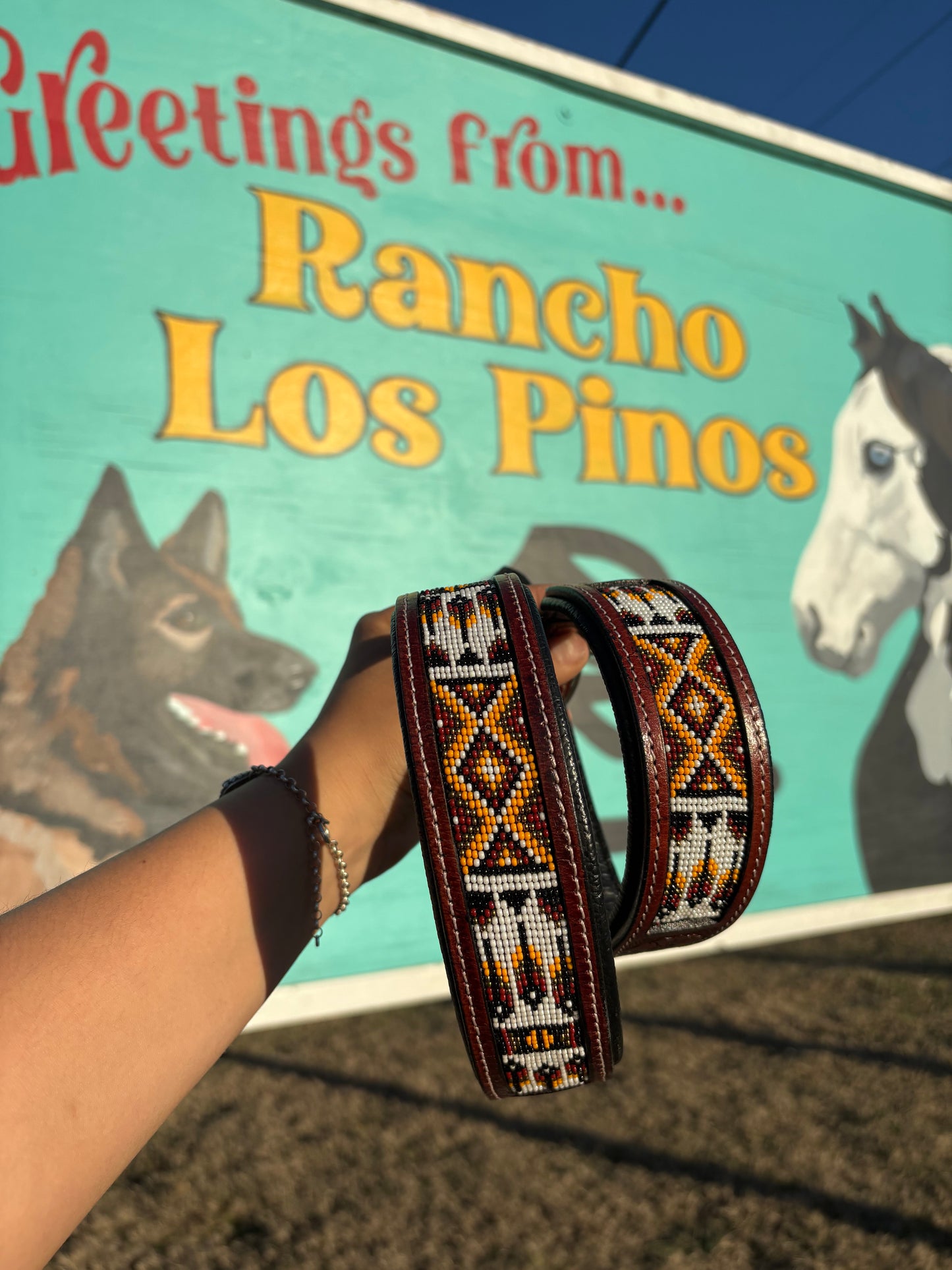 Bear Dog Collar