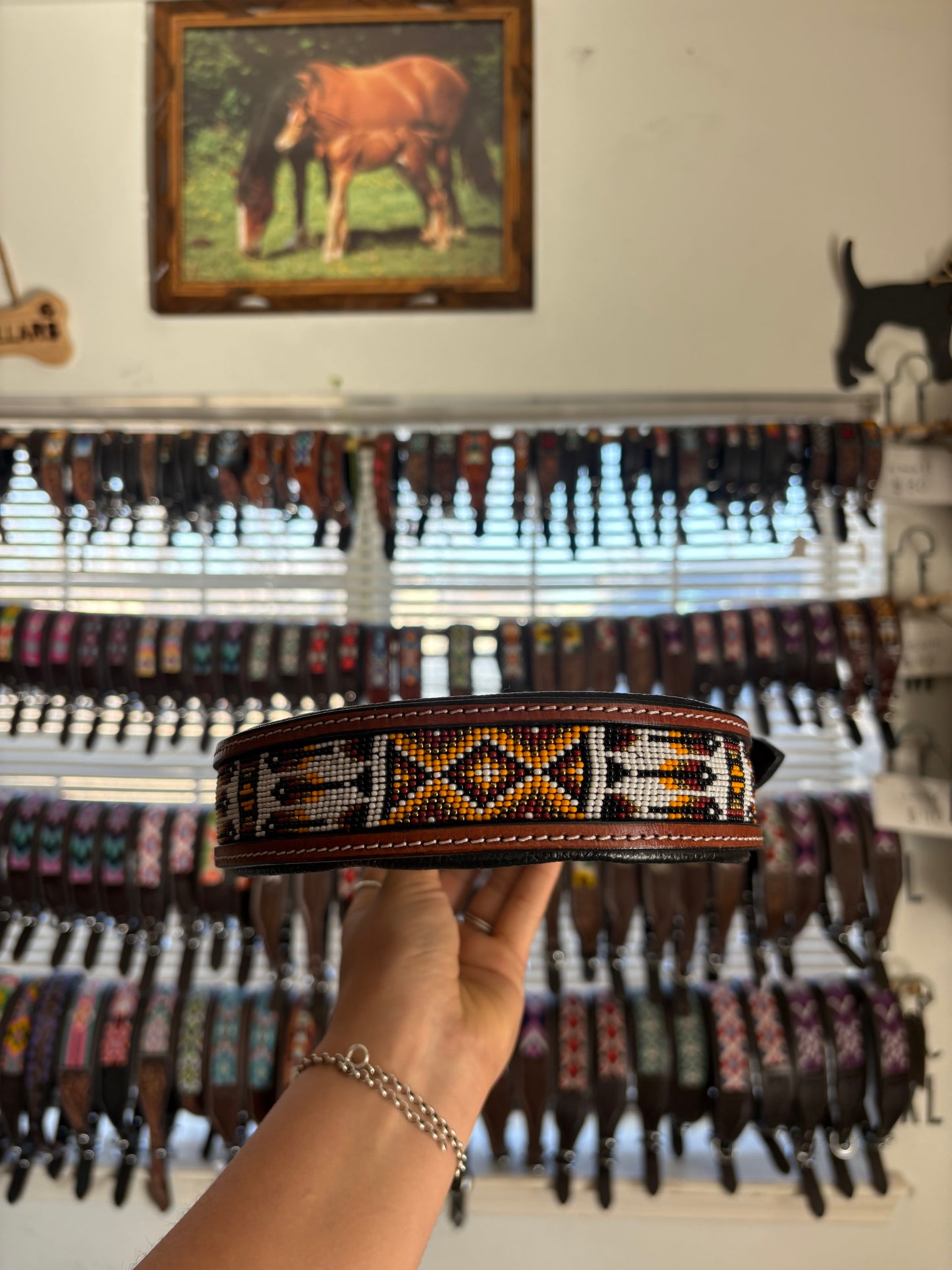 Bear Dog Collar