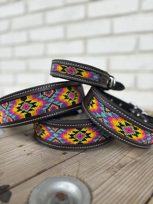 Miranda Dog Collar (M, XL)