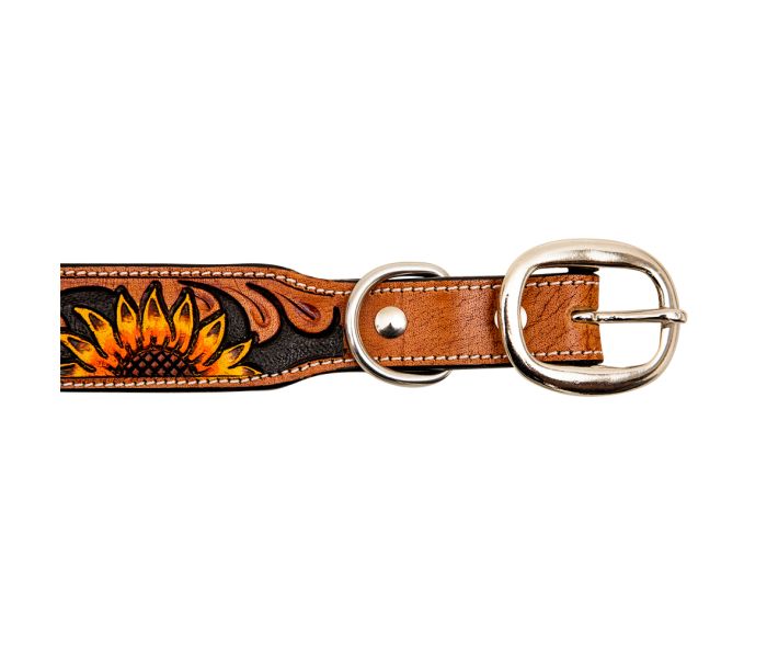 Girasol Tooled Leather Dog Collar