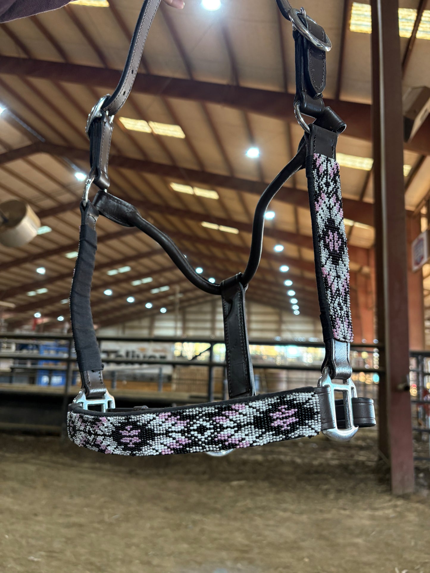 Black & Pink Horse Halter