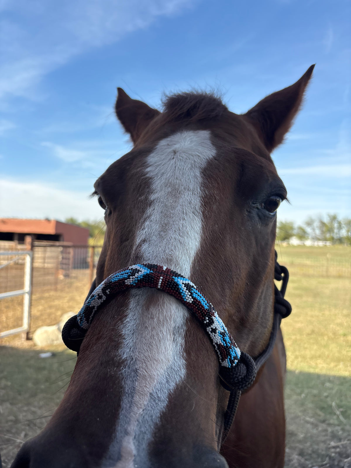 Horse Rope Halter - Brown
